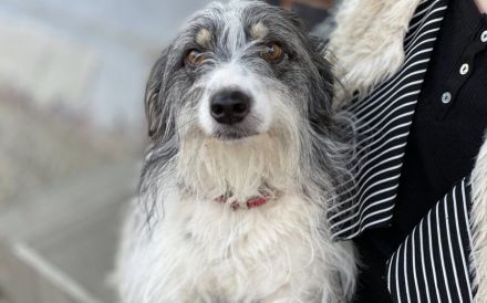 Wirbelwind Rani erobert die Herzen im Sturm