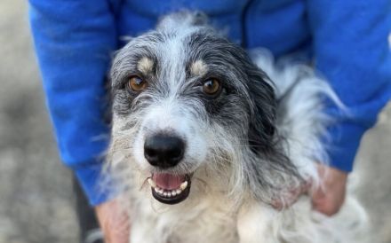 Wirbelwind Rani erobert die Herzen im Sturm