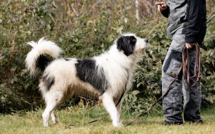 Paul sucht seine Menschen