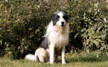 Paul sucht seine Menschen