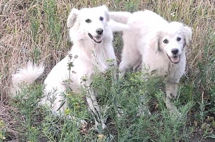 Alla – Ein neues Leben in Sicherheit suchen