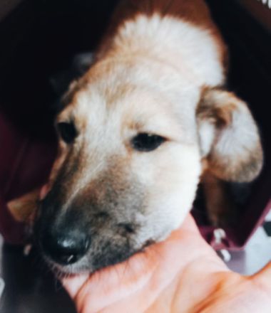 Antonia möchte so gern das Leben außerhalb des Shelters kennen lernen!