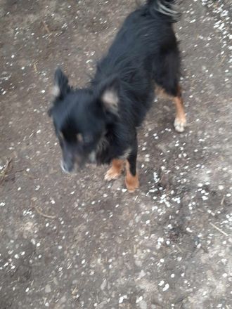 Hope – Ein Herz voller Liebe und Hoffnung