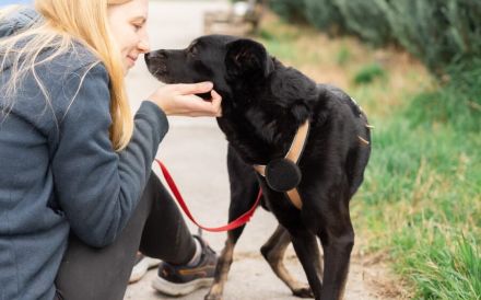 Bezaubernde Ebony sucht Familienanschluss