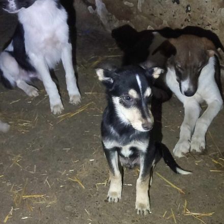 Jakob – Ein kleiner Schatz auf der Suche nach seinem Glück!