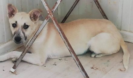 Jasmin wartet auf ihr Ticket ins Glück!