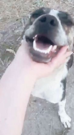 Wer interessiert sich für Judy?