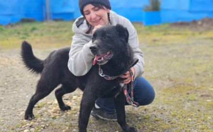 Seniorensitz für den freundlichen Aluis gesucht