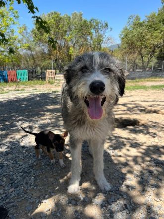 Ra - ein Herz das vertrauen will