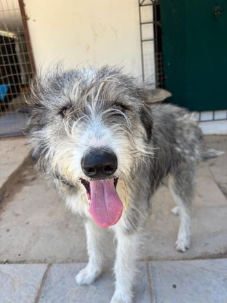 Ra - ein Herz das vertrauen will