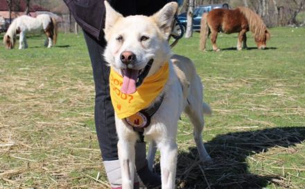 Frederik: freundlich und sanft