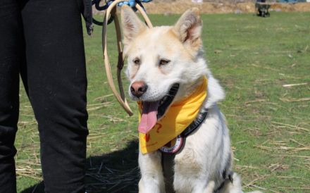 Frederik: freundlich und sanft