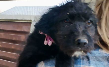 Amilie bringt Leben ins Haus