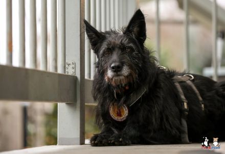 Mariechen sucht ein Zuhause