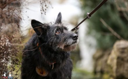 Mariechen sucht ein Zuhause