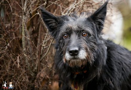 Mariechen sucht ein Zuhause