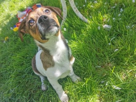 Kleine Racker wartet auf seine Familie