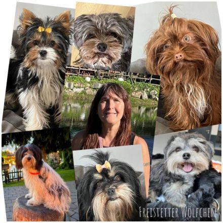 Von den Freistetter-Wölfchen