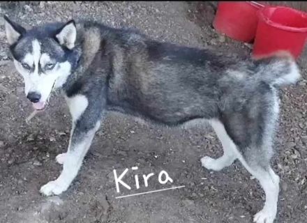 Kira Catea – Ein Herz voller Hoffnung