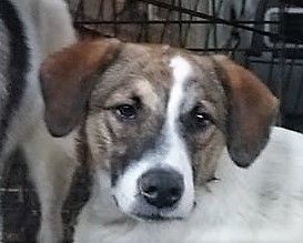 Wer sieht die schöne Kira?