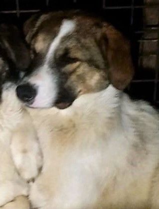 Wer sieht die schöne Kira?