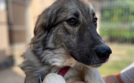 Tequila lässt dein Herz aufgehen!