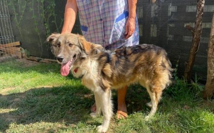 Tequila lässt dein Herz aufgehen!