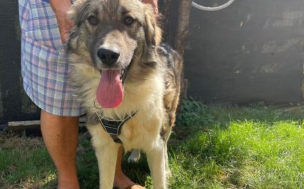 Tequila lässt dein Herz aufgehen!