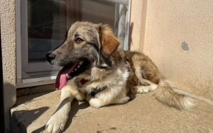 Tequila lässt dein Herz aufgehen!