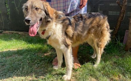 Tequila lässt dein Herz aufgehen!