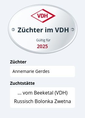 Bolonka-Zwetna- Welpen abzugeben