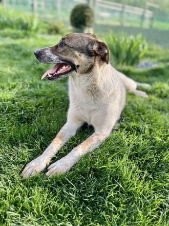 Olive wünscht sich eine liebevolle Familie