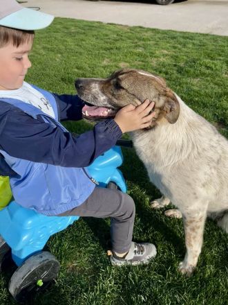 Olive wünscht sich eine liebevolle Familie