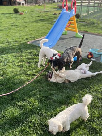 Olive wünscht sich eine liebevolle Familie