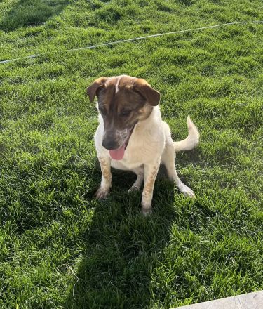 Olive wünscht sich eine liebevolle Familie