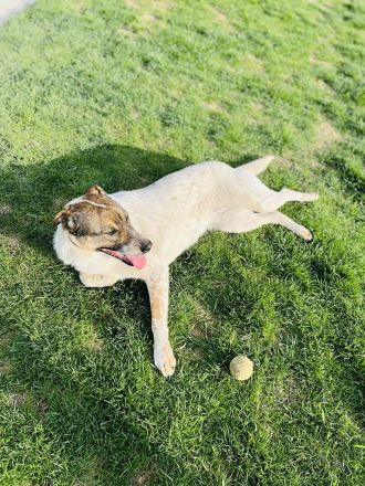 Olive wünscht sich eine liebevolle Familie