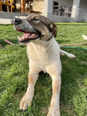 Olive wünscht sich eine liebevolle Familie