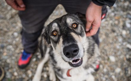 Aufgeschlossene und entspannte Alisea