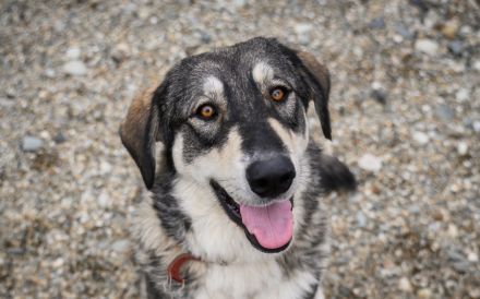 Aufgeschlossene und entspannte Alisea