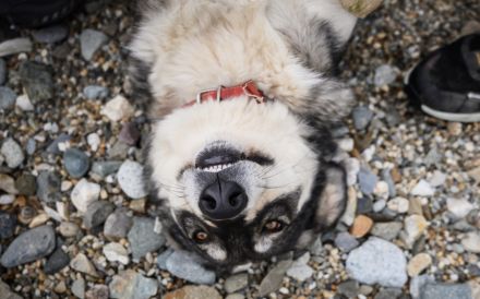 Aufgeschlossene und entspannte Alisea