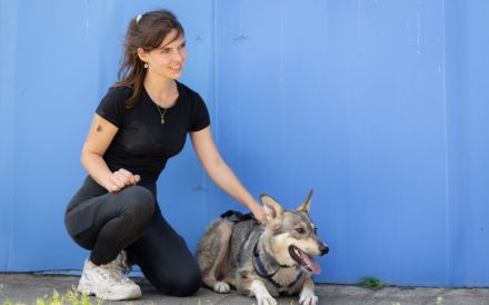 Ruhiges Zuhause für Franka gesucht