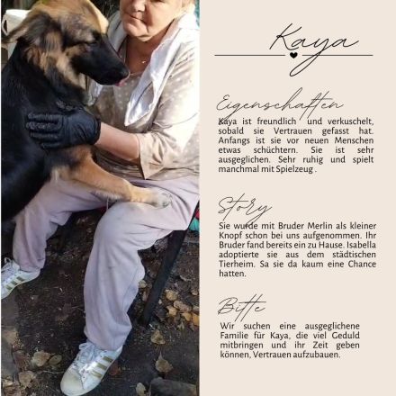 KAYA - süße Kuschelmaus sucht ein Zuhause