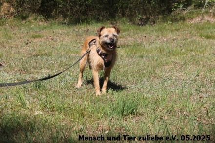 Sara etwas schüchtern, sehr lieb