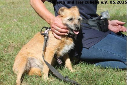 Sara etwas schüchtern, sehr lieb