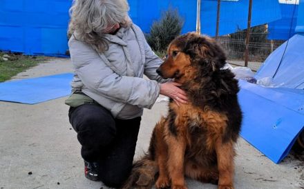 Neelix wartet schon so lange