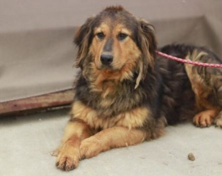 Neelix wartet schon so lange