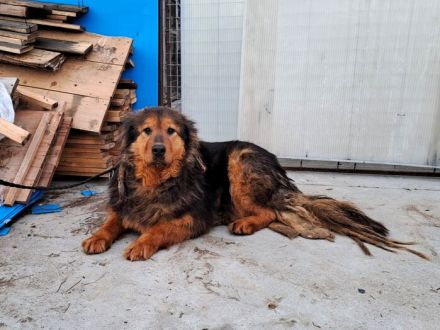 Neelix wartet schon so lange