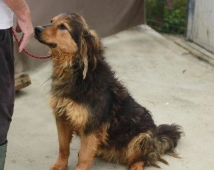 Neelix wartet schon so lange