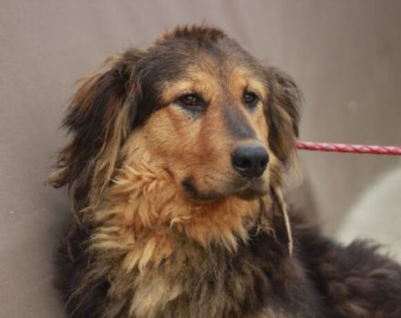 Neelix wartet schon so lange