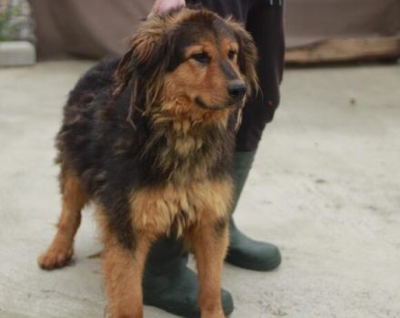 Neelix wartet schon so lange